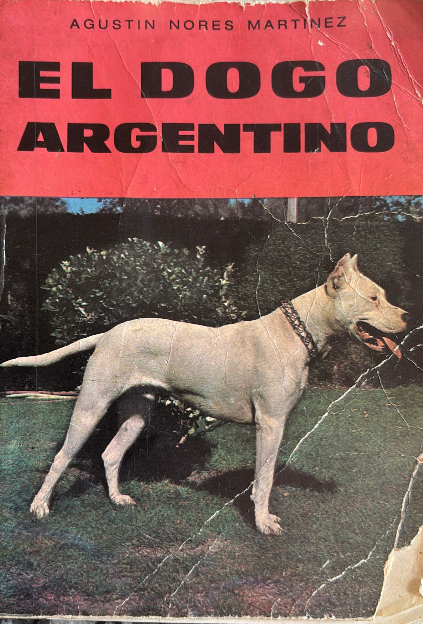 Resumen de los primeros capítulos del libro de Agustín Nores Martínez: la esencia funcional del Dogo Argentino y la importancia de preservarla.